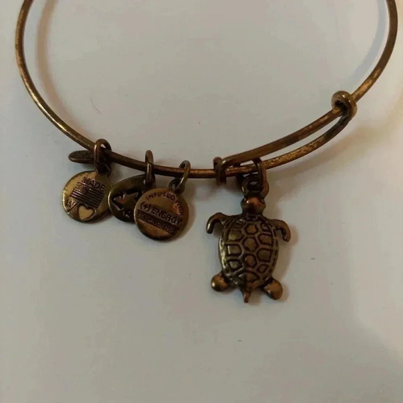 Alex and Ani Turtle Expandable Wire Bangle Bracelet Rafaelian Gold - Picture 2 of 3